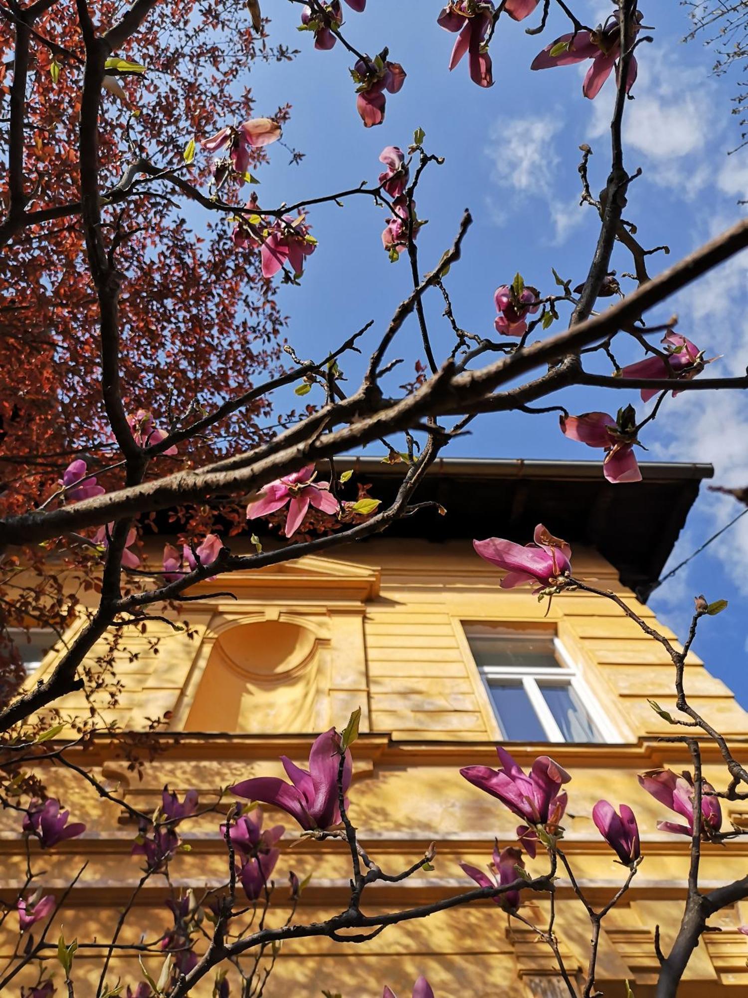 The Villa, Ljubljana City Center Eksteriør billede